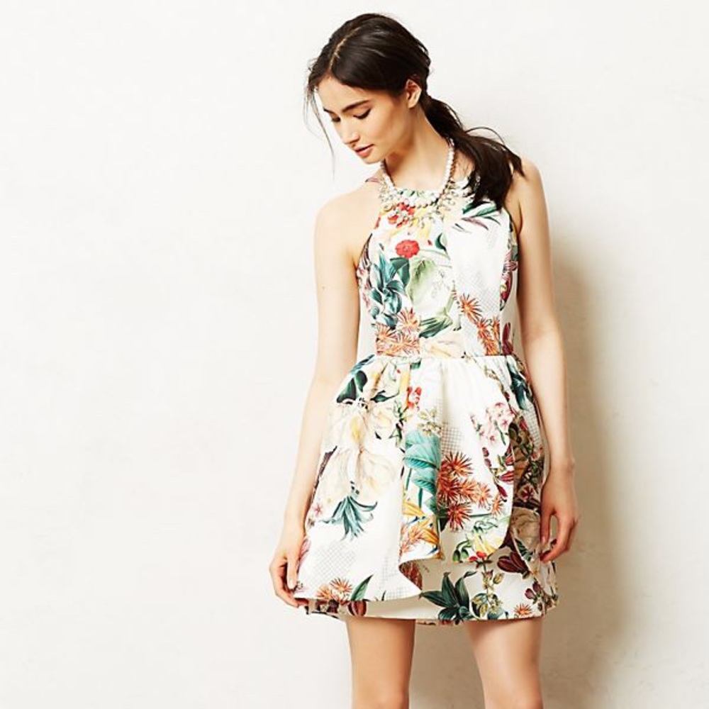 Cameo botanical fit and flare